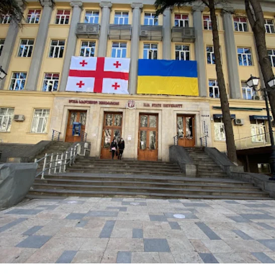 About Ilia University