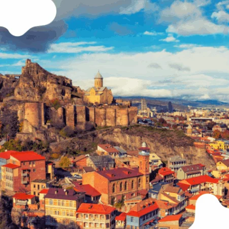 Study MBBS in Georgia Study MBBS in Georgia